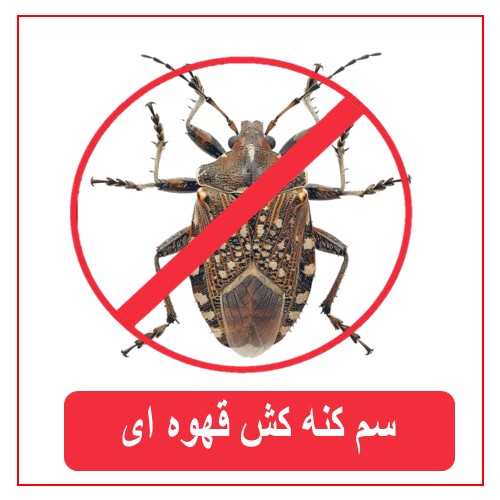 کنه کش مخصوص کنه قهوه ای